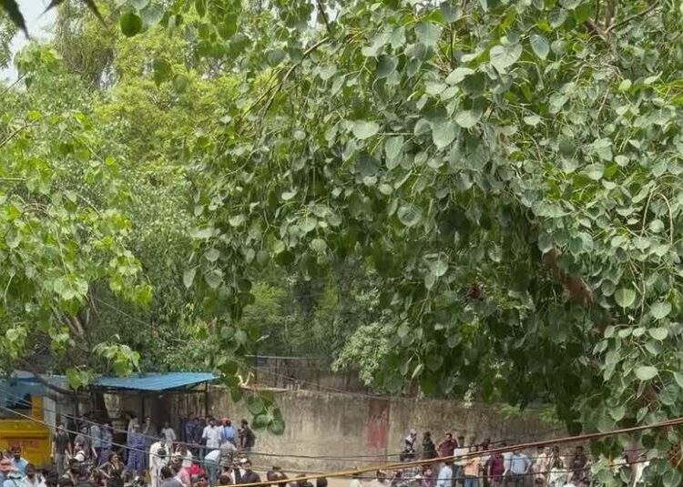 A Viral Gen-Z Protest Movement Draws Thousands to India’s Capital
