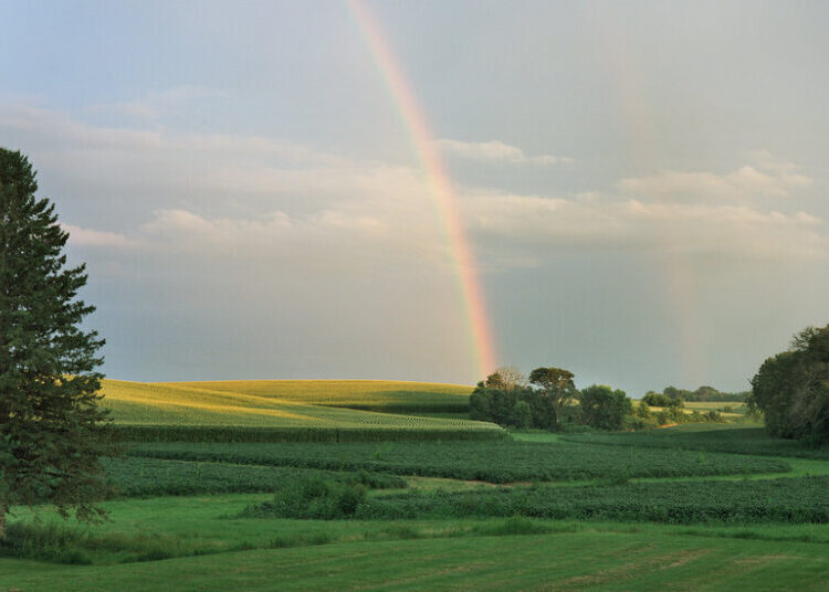And the No. 1 State for Well-Being Is …