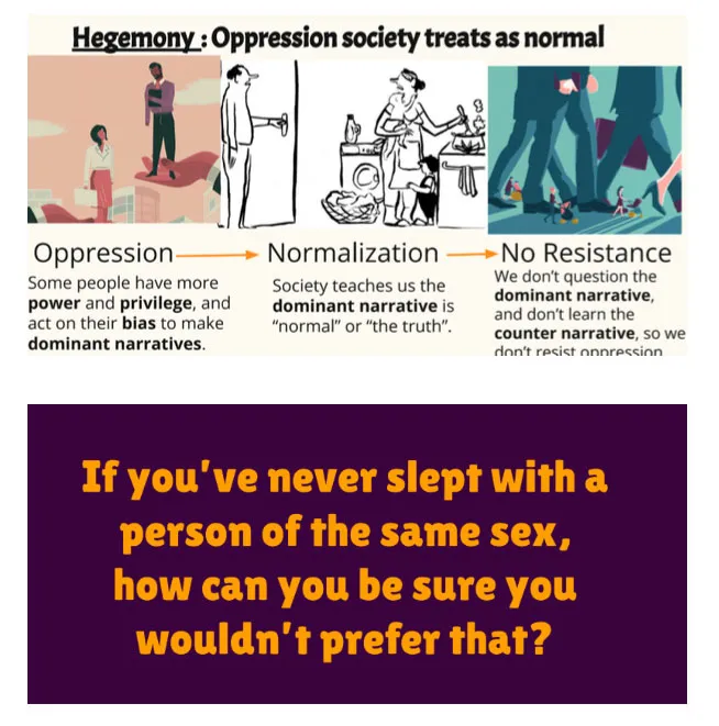 Collage of two illustrations. The top illustration defines hegemony, oppression, normalization, and no resistance, with accompanying images. The bottom illustration displays the text 