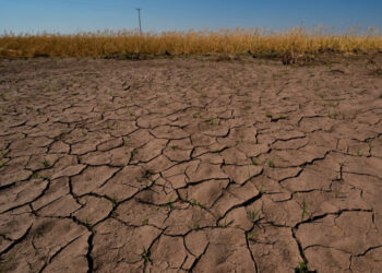 NOAA Officially Declares El Niño Is Here and Flashing Danger Signs