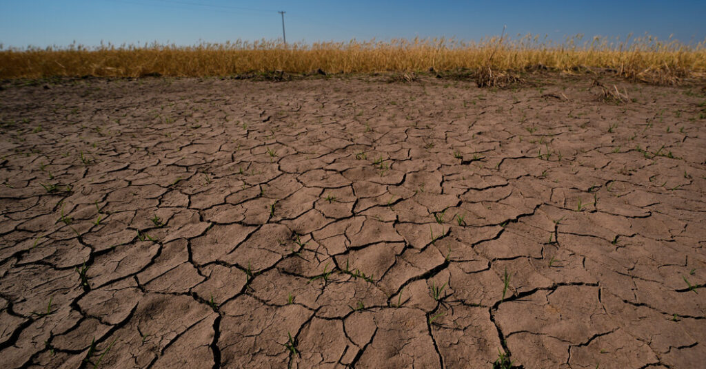 NOAA Officially Declares El Niño Is Here and Flashing Danger Signs