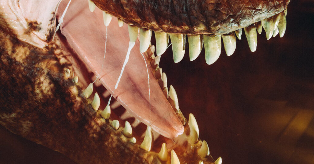It’s Godzilla vs. T. Rex All Over America