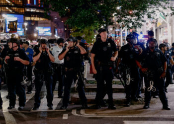 Brawls, Biting and Bliss in a City Craving a Knicks Championship