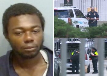 Atlanta train passenger was stabbed 20 times after homeless thug slit her throat in random attack on MARTA
