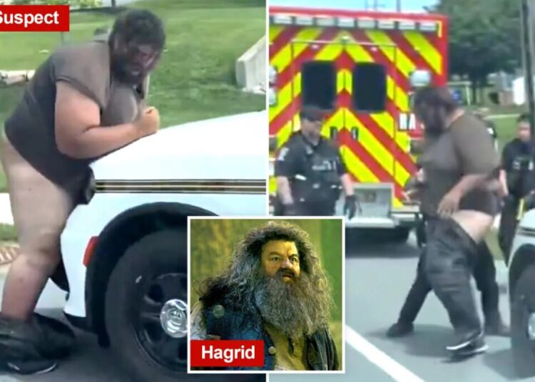 Bizarre moment Maryland police arrest giant suspect as his pants and underwear fall down in viral video