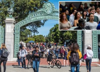 Berkeley students flunk ‘gentle’ course at shocking rates — professors blame AI