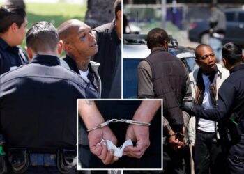 Drug-addled zombies rushed by cops in sweeping blitz of LA’s notorious MacArthur park