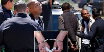 Drug-addled zombies rushed by cops in sweeping blitz of LA’s notorious MacArthur park