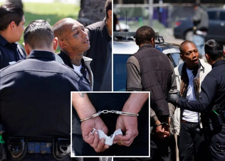 Drug-addled zombies rushed by cops in sweeping blitz of LA’s notorious MacArthur park