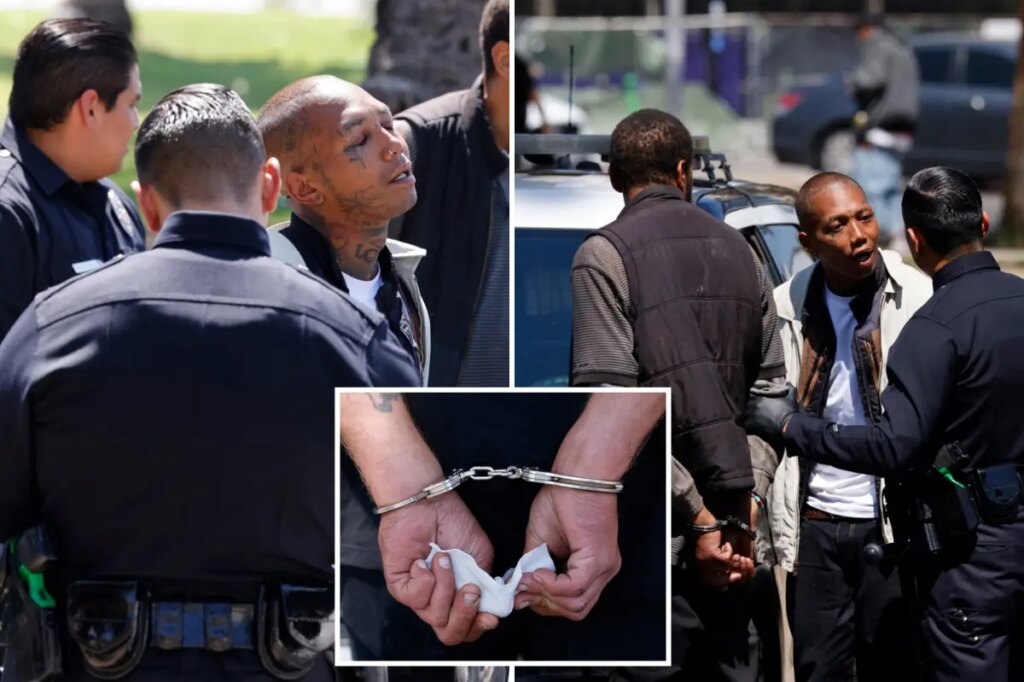 Drug-addled zombies rushed by cops in sweeping blitz of LA’s notorious MacArthur park