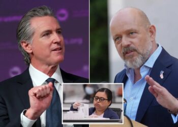 Steve Hilton urges Gavin Newsom to fix California’s ballot backlog with rapid-response teams