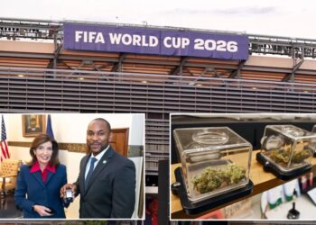 High kicks: NY gives local World Cup fans tips on how to land safe, legal cannabis