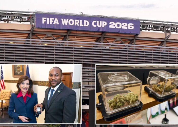 High kicks: NY gives local World Cup fans tips on how to land safe, legal cannabis