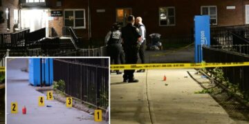 Moped-riding goons shoot NYC teen dead outside his home: cops