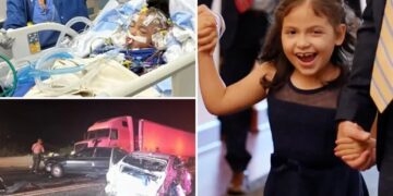 California 7-year-old left with half a skull after crash involving undocumented truck driver shares touching moment with Trump’s top brass
