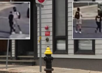 Boston children’s lemonade stand robbed at gunpoint in broad daylight: ‘Just take it!’