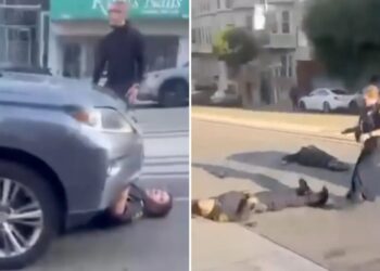 Trader Joe’s shoplifter  in San Francisco killed by speeding car after wild police chase