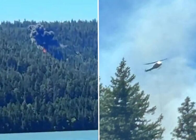 Terrifying moment California fighter jet ‘pops’ then crashes near Mt Rainier sparking wildfire