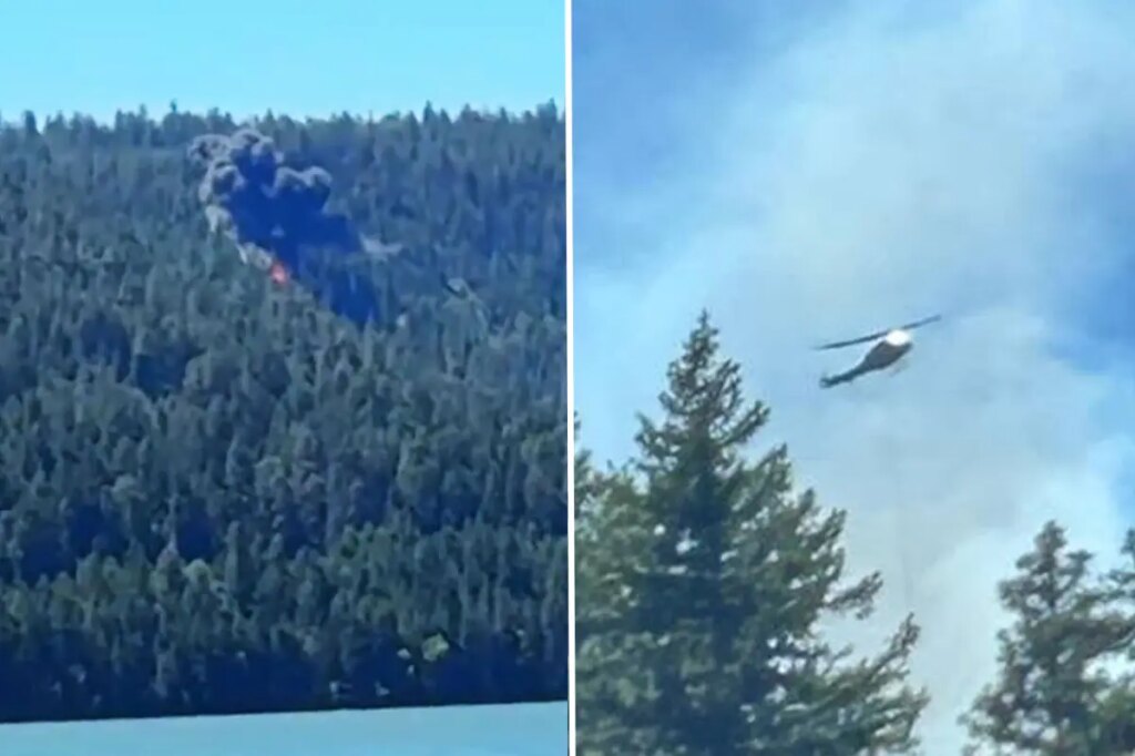 Terrifying moment California fighter jet ‘pops’ then crashes near Mt Rainier sparking wildfire