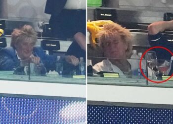 Outrage as Rod Stewart seen drinking at Scotland game — after canceling CA show just 40 minutes before it began