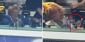 Outrage as Rod Stewart seen drinking at Scotland game — after canceling CA show just 40 minutes before it began