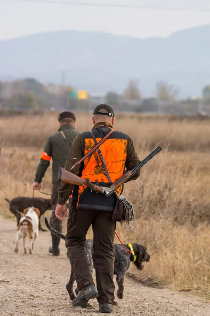 Two hunters, one with a shotgun, walking with their dogs on a dirt path in a dry field.