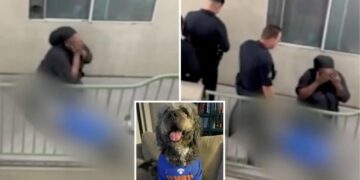 Knicks’ watch party horror as family dog is shot by cops – as harrowing video emerges