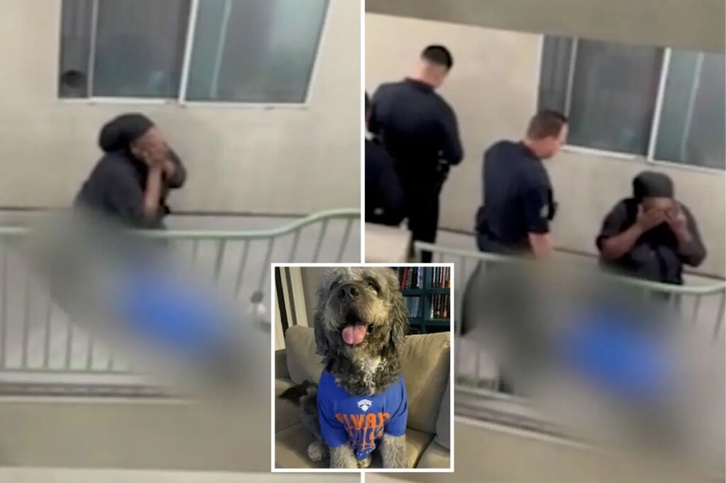 Knicks’ watch party horror as family dog is shot by cops – as harrowing video emerges
