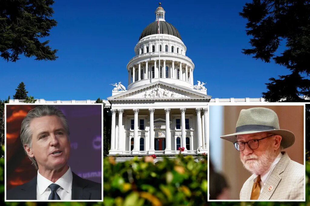 CA Dems could stick families with higher insurance costs — and new tax on software downloads