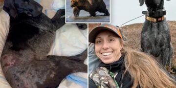 Alaska woman uses weapon to survive terrifying bear attack after predator mauls pooch: ‘I thought I was dead’
