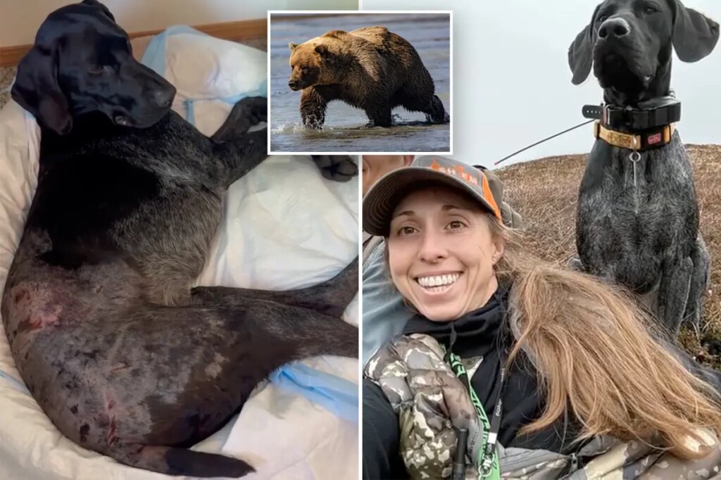 Alaska woman uses weapon to survive terrifying bear attack after predator mauls pooch: ‘I thought I was dead’