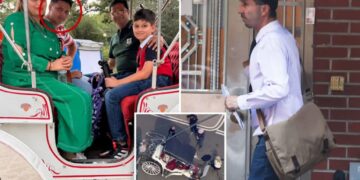 NYC horse carriage ban gains traction following tragic death of teen tourist