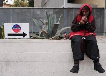 Federal election probes are a step toward restoring faith in voting
