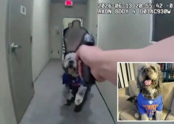 Horrific bodycam video reveals moment beloved dog is shot 4 times by LAPD officer