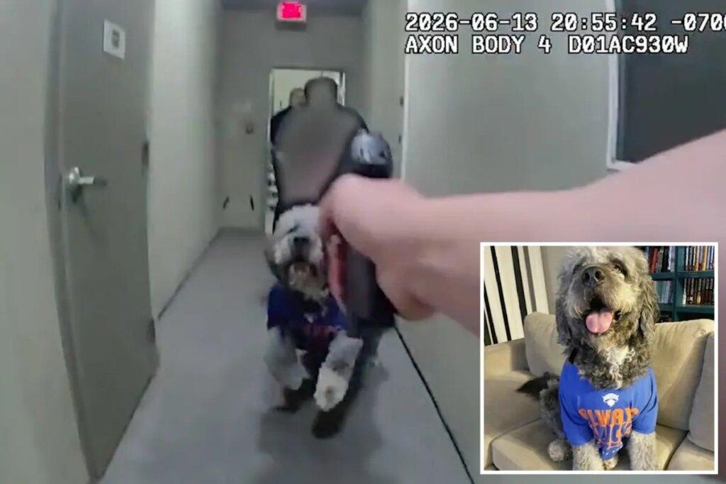 Horrific bodycam video reveals moment beloved dog is shot 4 times by LAPD officer