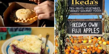 Longtime family-owned California dessert shop named best in the US