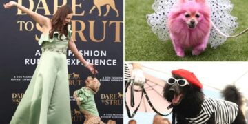 Adorable doggy fashion show ‘Dare to Strut’ takes Los Angeles by storm