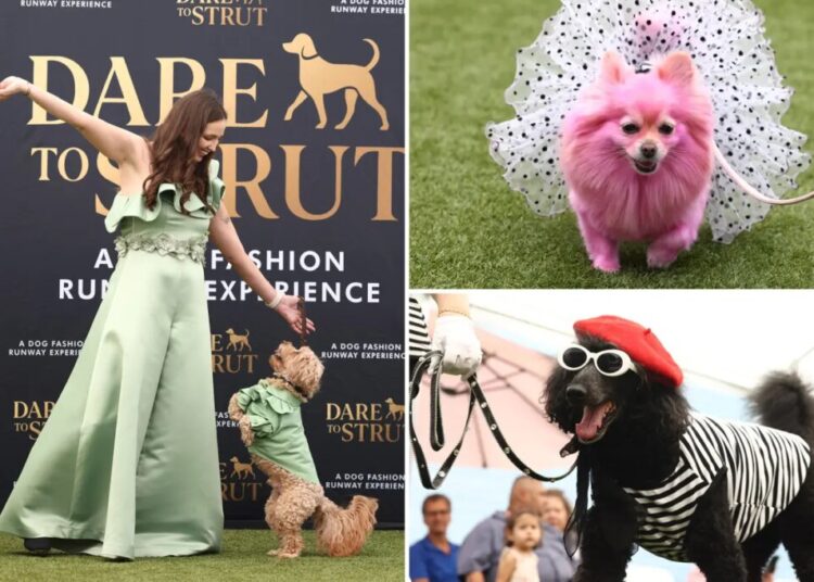 Adorable doggy fashion show ‘Dare to Strut’ takes Los Angeles by storm