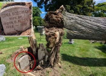 108-year-old gravestone unearthed after severe storm uproots tree