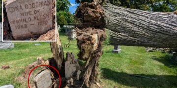 108-year-old gravestone unearthed after severe storm uproots tree