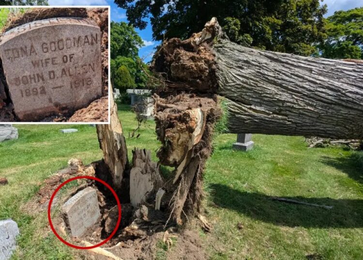 108-year-old gravestone unearthed after severe storm uproots tree