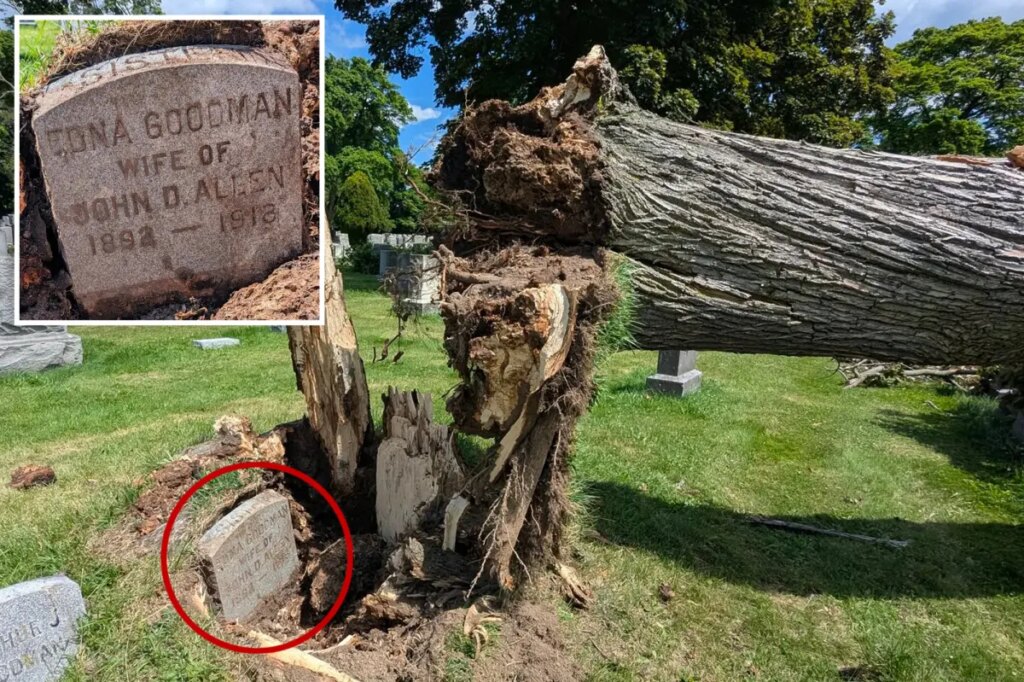 108-year-old gravestone unearthed after severe storm uproots tree