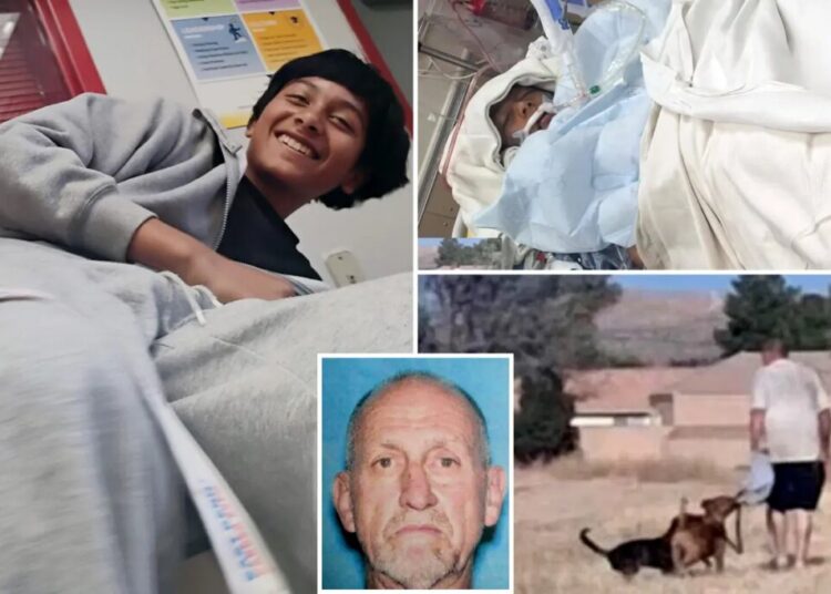 Horror as boy, 12, drowns after jumping into lake after three vicious dogs hunted him down