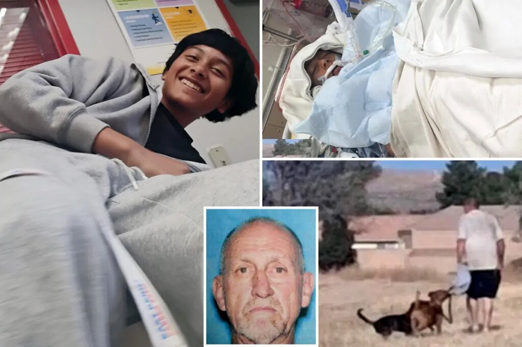 Horror as boy, 12, drowns after jumping into lake after three vicious dogs hunted him down