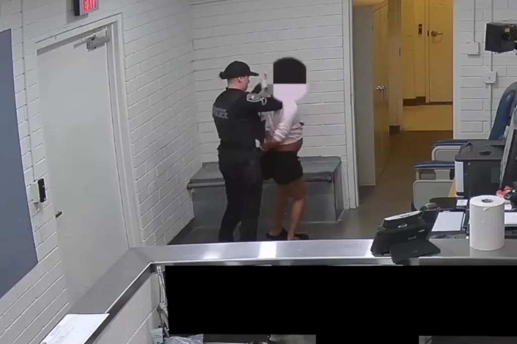 A police officer detains a civilian.
