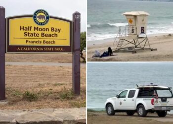 Beachside horror as lifeguard in pickup truck drives over sunbather as witnesses look on
