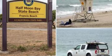 Beachside horror as lifeguard in pickup truck drives over sunbather as witnesses look on