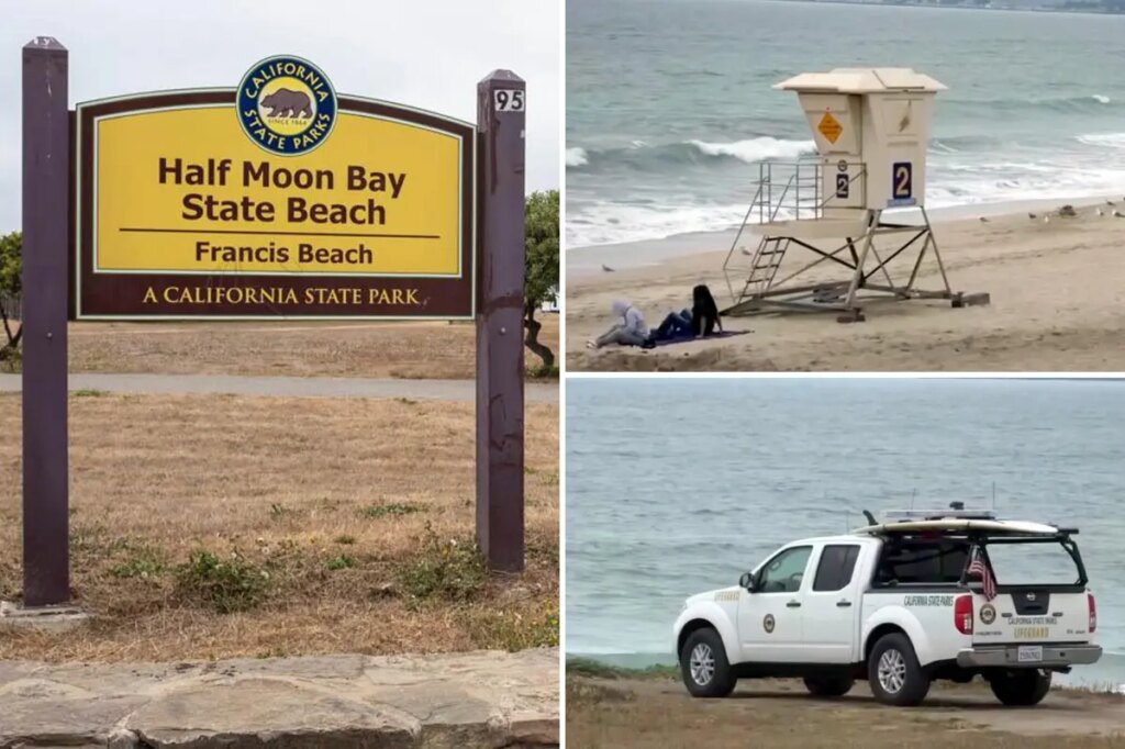 Beachside horror as lifeguard in pickup truck drives over sunbather as witnesses look on