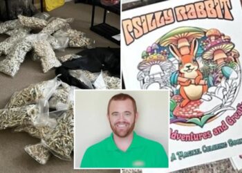 San Diego man pleads guilty to dosing his kids with ‘magic mushrooms’