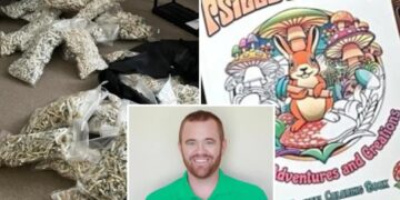 San Diego man pleads guilty to dosing his kids with ‘magic mushrooms’